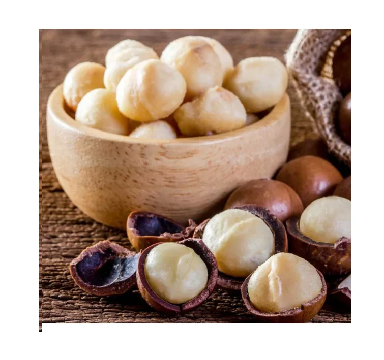 Premium Raw Macadamia Nuts for Sale at Best Prices Ideal for Snacking Baking and Culinary Uses Buy in Bulk Today