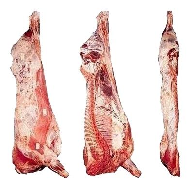 FRESH CHILLED Sheep meat LAMB MEAT CARCASS ready for export Fresh Frozen boneless Sheep meat frozen  Frozen Sheep