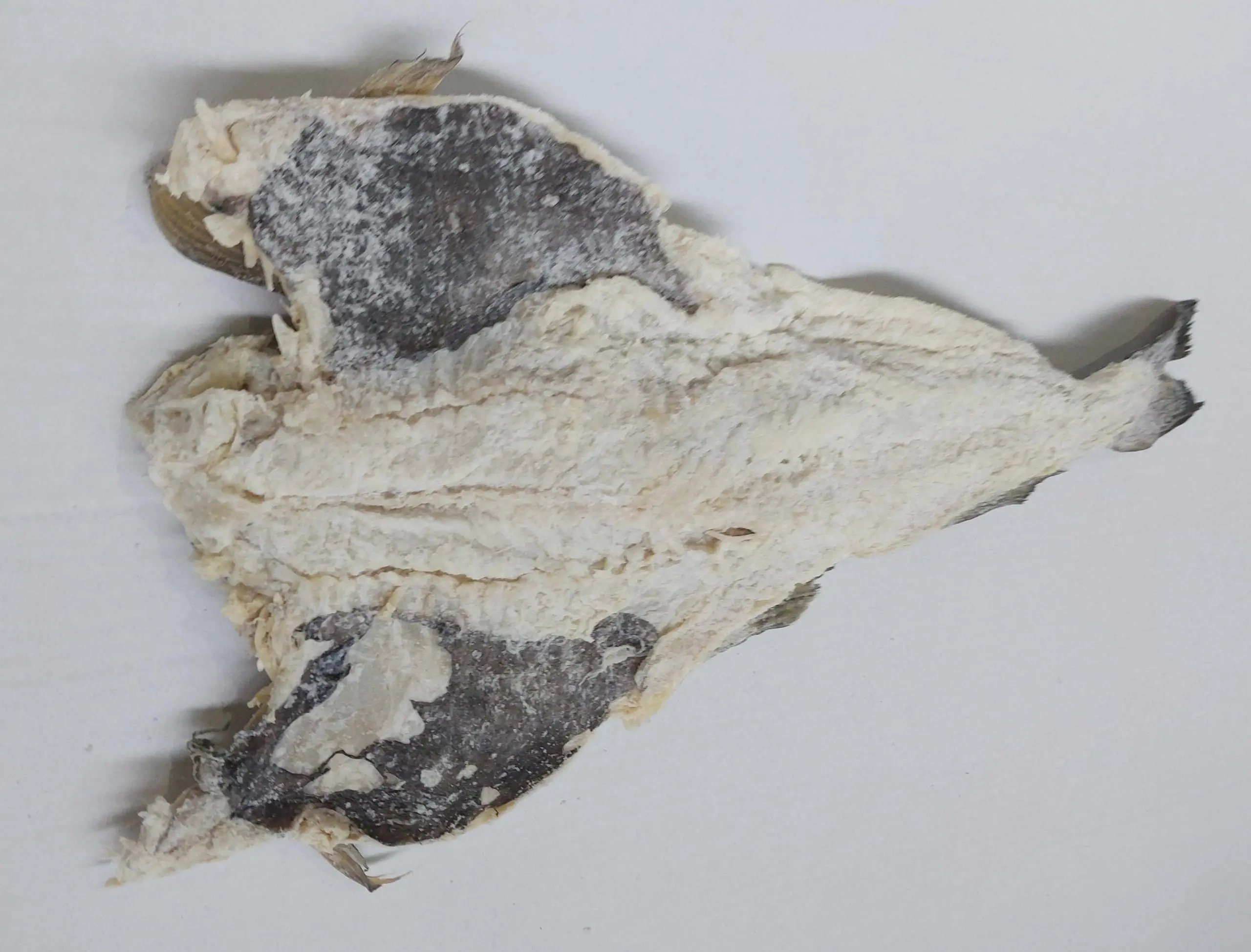 Dried salted codfish.jpeg