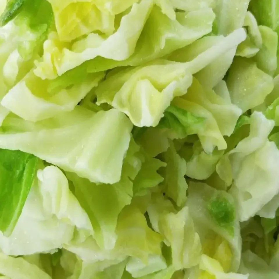 Cheap Price Fresh Cabbage for sale