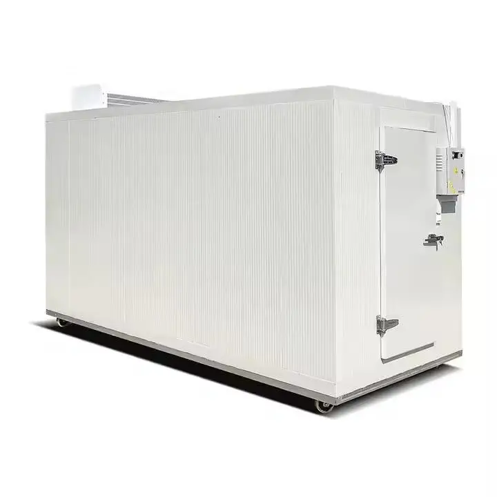 20ft Freezer Container Cold Storage Room Reefer Container 20 feet Refrigerated Shipping Container