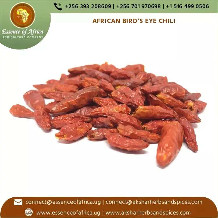 Whole Dried Red Chili Bird Eye Chili High Quality