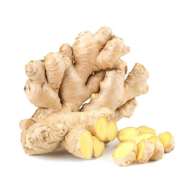 100% Organic Fresh Ginger The Cheapest Price Ginger Fresh Made in Belgium