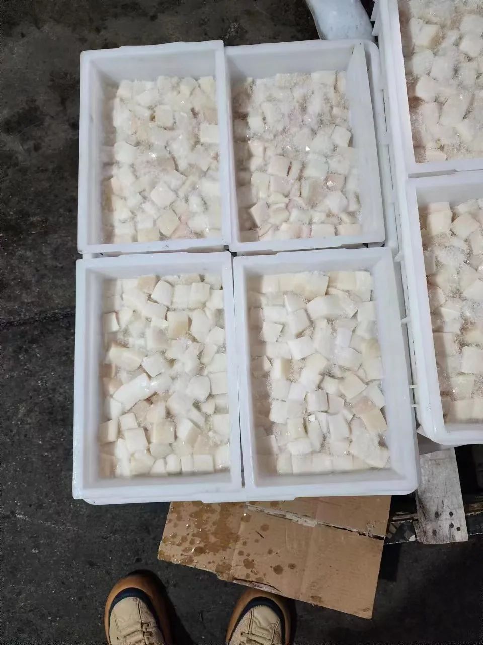 Blocks of Peru squid meat High-end At A Good Price Peru Giant Squid Fillet/meat Seafood Importers