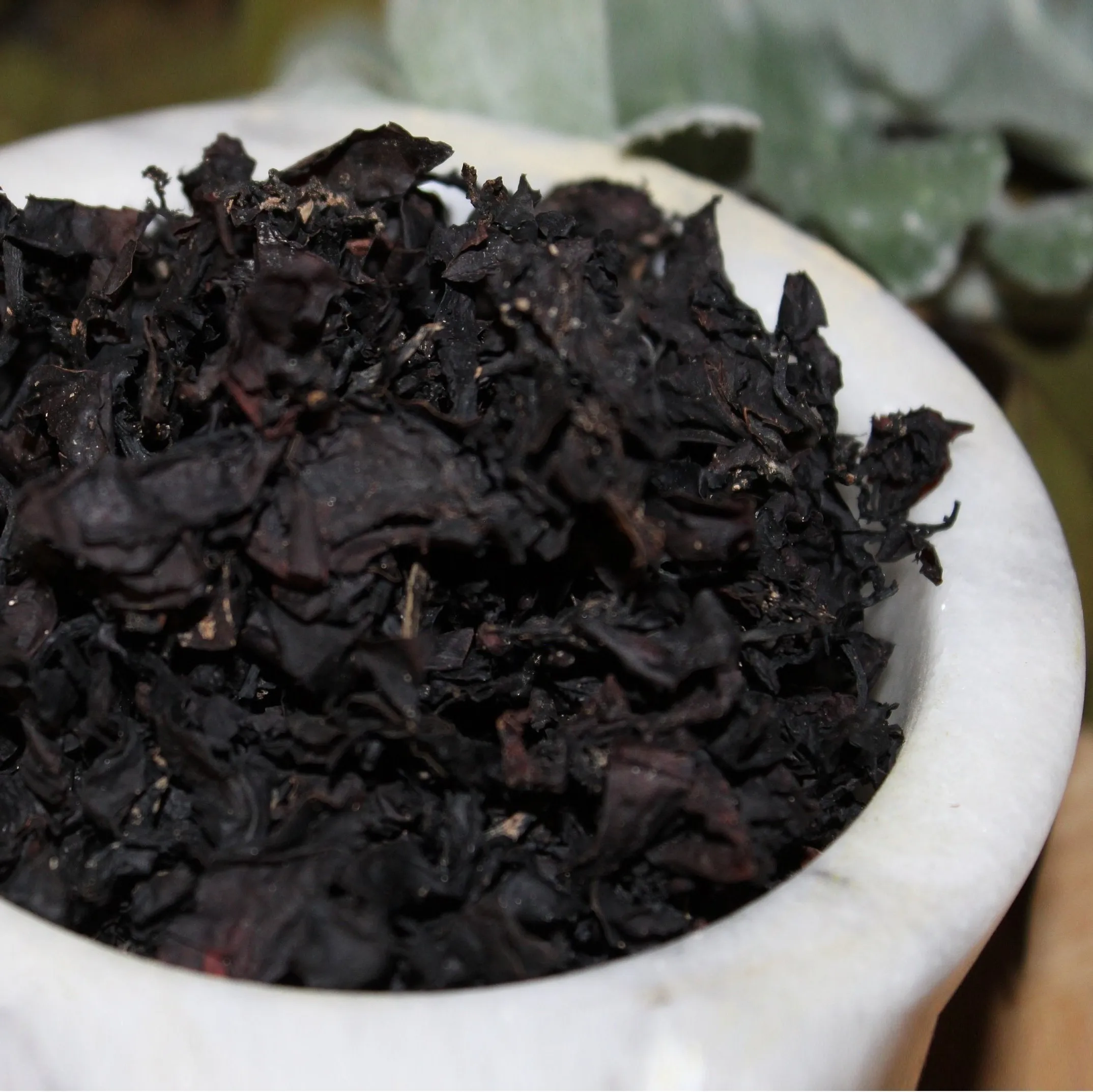 Sun dried sargassum seaweeds supply in bulk premium quality dry wholesale ocean seaweed with cheapest price