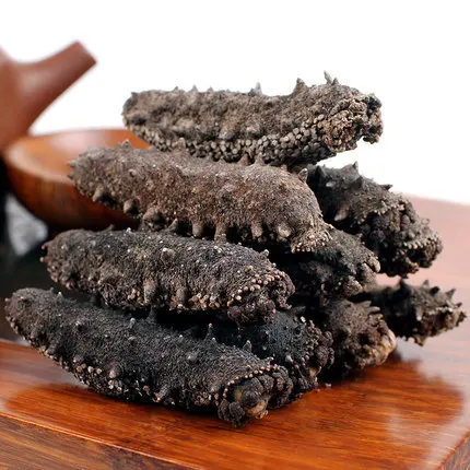 Sea Cucumber Pattallus Mollis From Peru