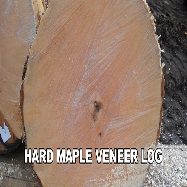 Baillie Lumber Hardwood Supplier-round Logs for Sale Variety Including Teak Sandalwood Pine Wood