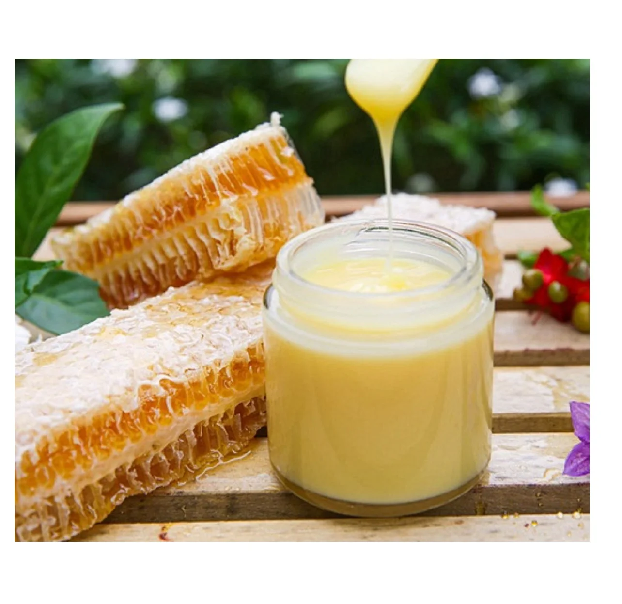 Tasabee Pure Fresh Royal Jelly Products Certified By Experts in Manufacturing & Exporting Pure Fresh Royal Jelly