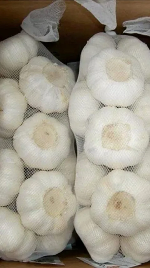 High quality dried white garlic new crop from Egypt 2023