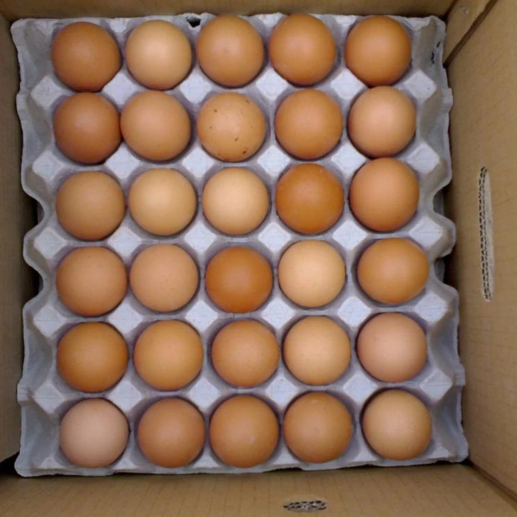 Fresh Table Eggs / Brown and White Table Eggs