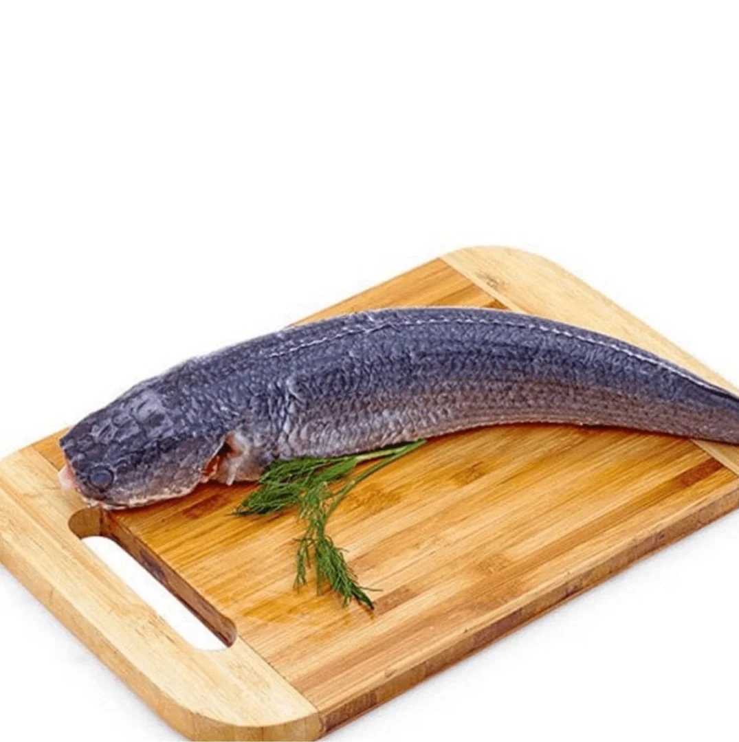 IQF SNACKEHEAD FISH WHOLE CLEAN - HIGH QUALITY CHEAP PRICE FROM VIETNAM