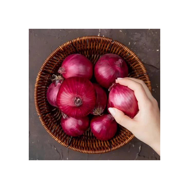 Exporters Big Red Onion Fresh Red Onion