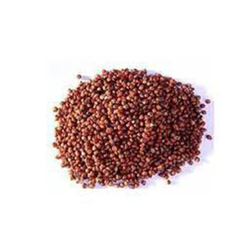quality  Red sorghum seeds Wholesale High manufacturer new Best material With cheap rate