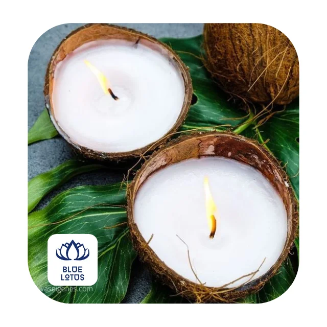 Best Selling SOY COCONUT CANDLES