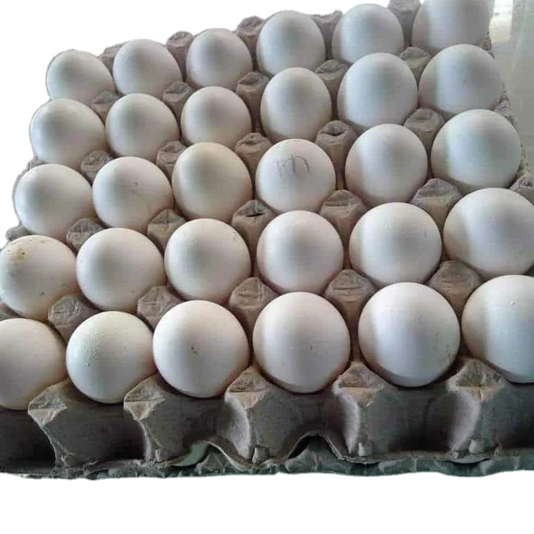 Fertilized Chicken Eggs/ Cobb 500 Broiler Chicken Eggs/Fresh Cobb 700 Fertile eggs for sale and ready for export