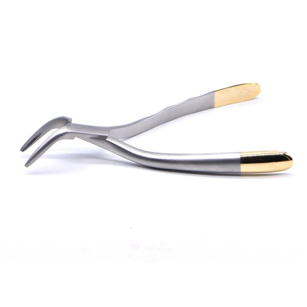 Premium Stainless Steel Dental Extraction Forceps for Effective Tooth Extraction