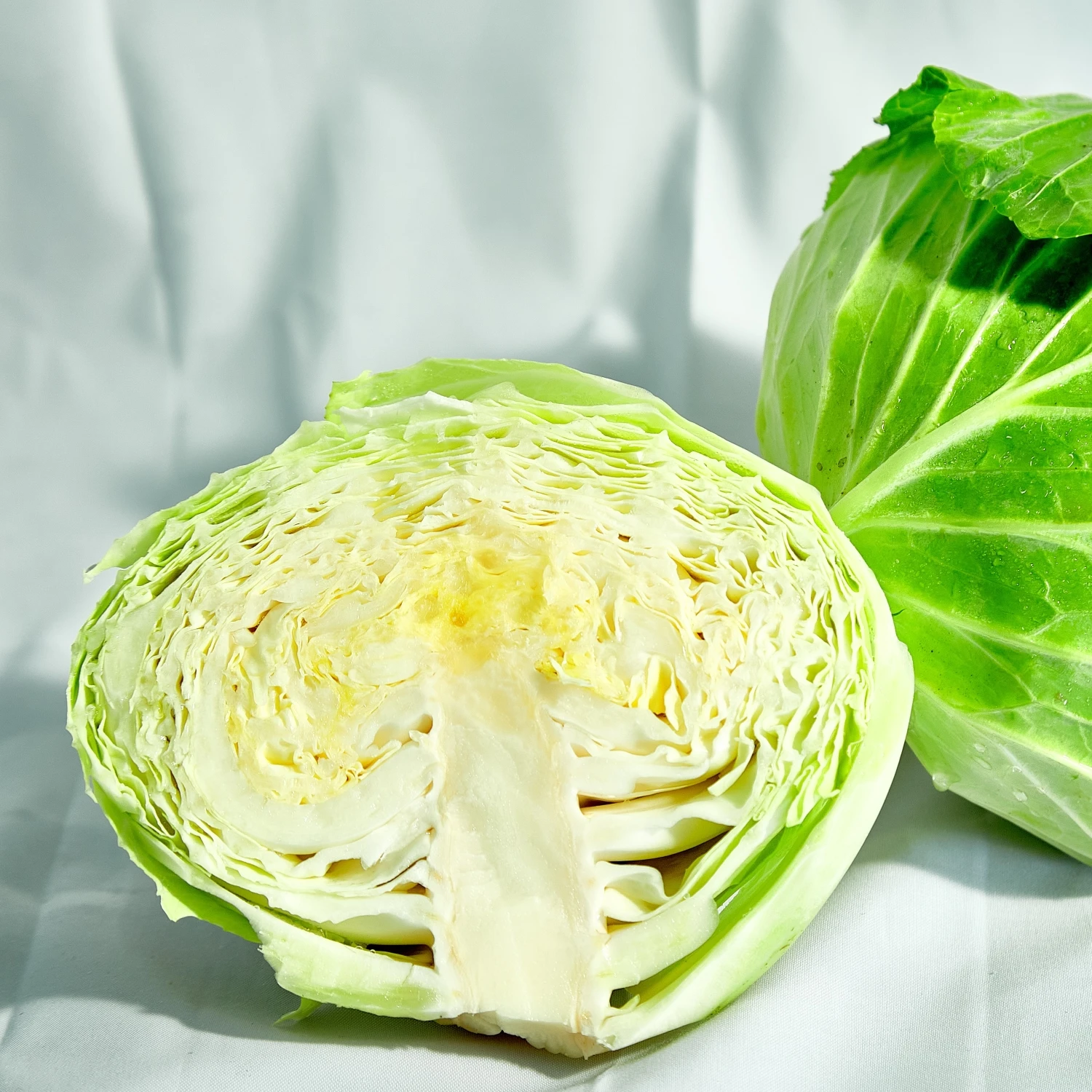 Fresh Round Cabbage Good Quality from VIETNAM Green Crop Style Packing Food Organic GAP Color Pure Feature Weight Natural Origin