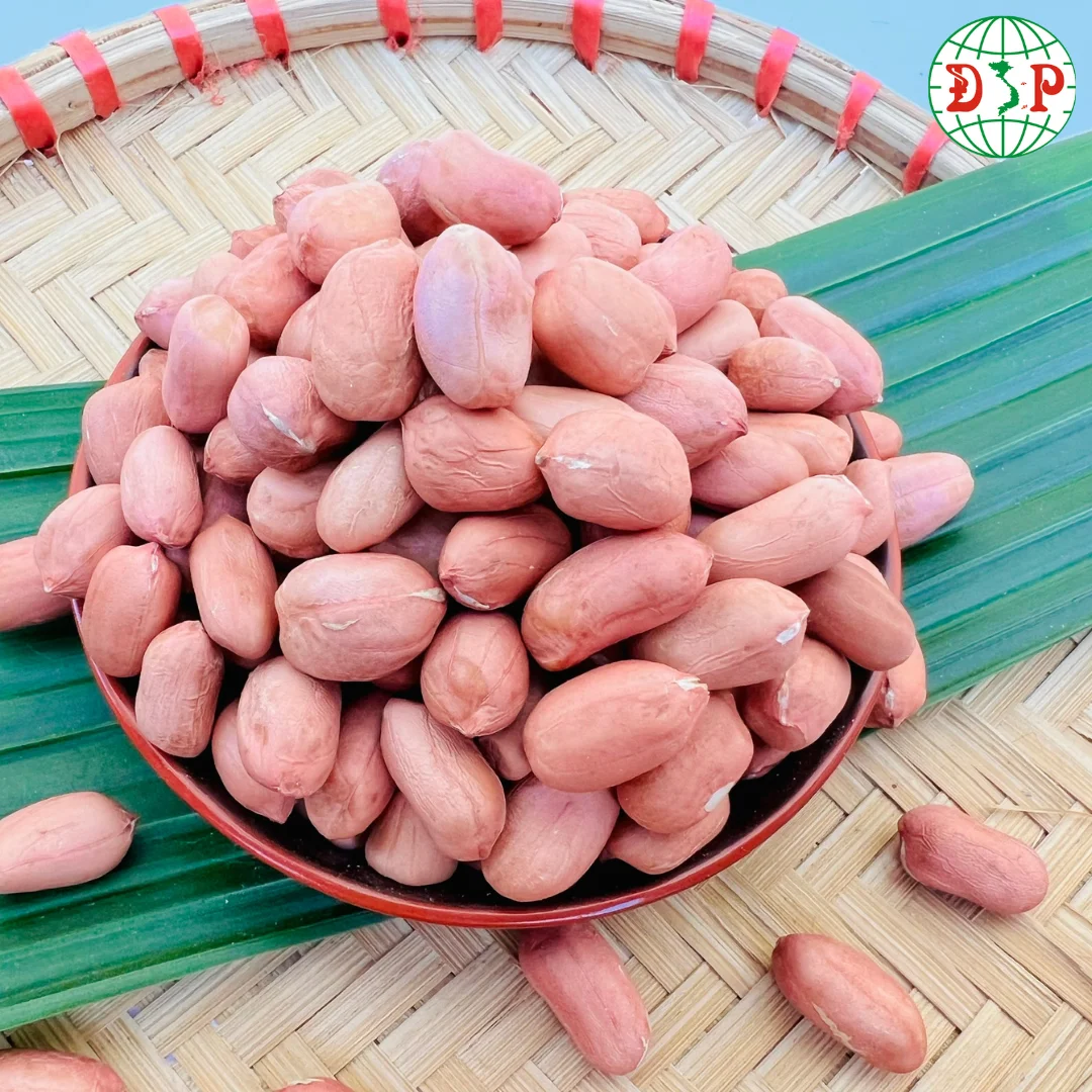 NEW 2024 HIGH QUALITY ROASTED PEANUTS  DRIED PEANUT FROM VIETNAM ( CLEANED, SORTED )