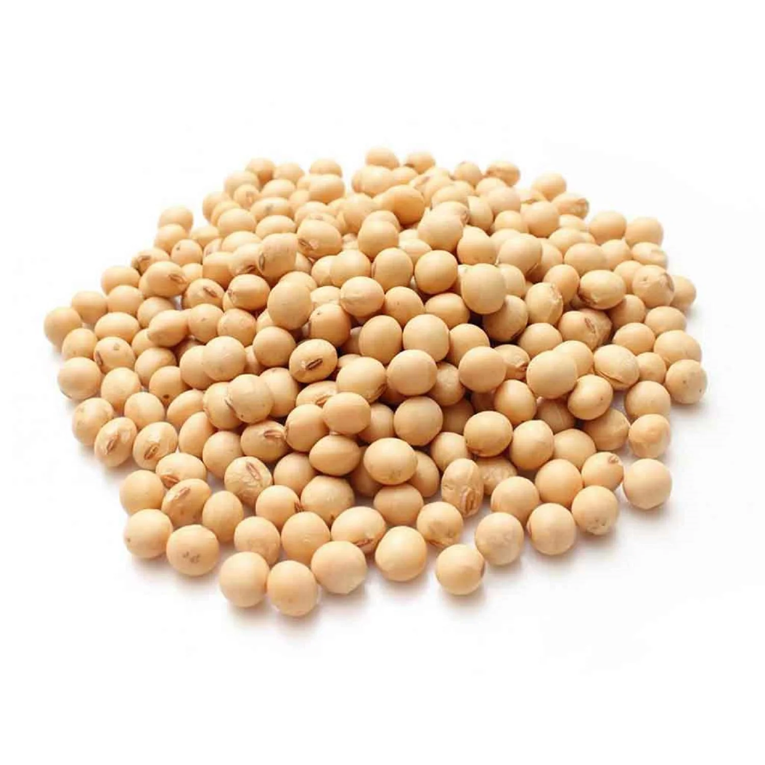 Premium Soya Beans for Soybean Importer