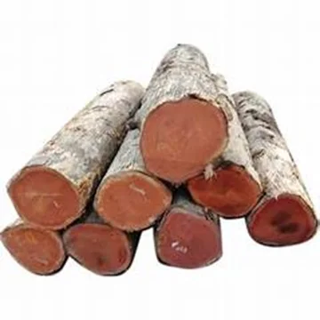 Timber Logs TEAK Pine Eucalyptus Oak Birch at Market Prices