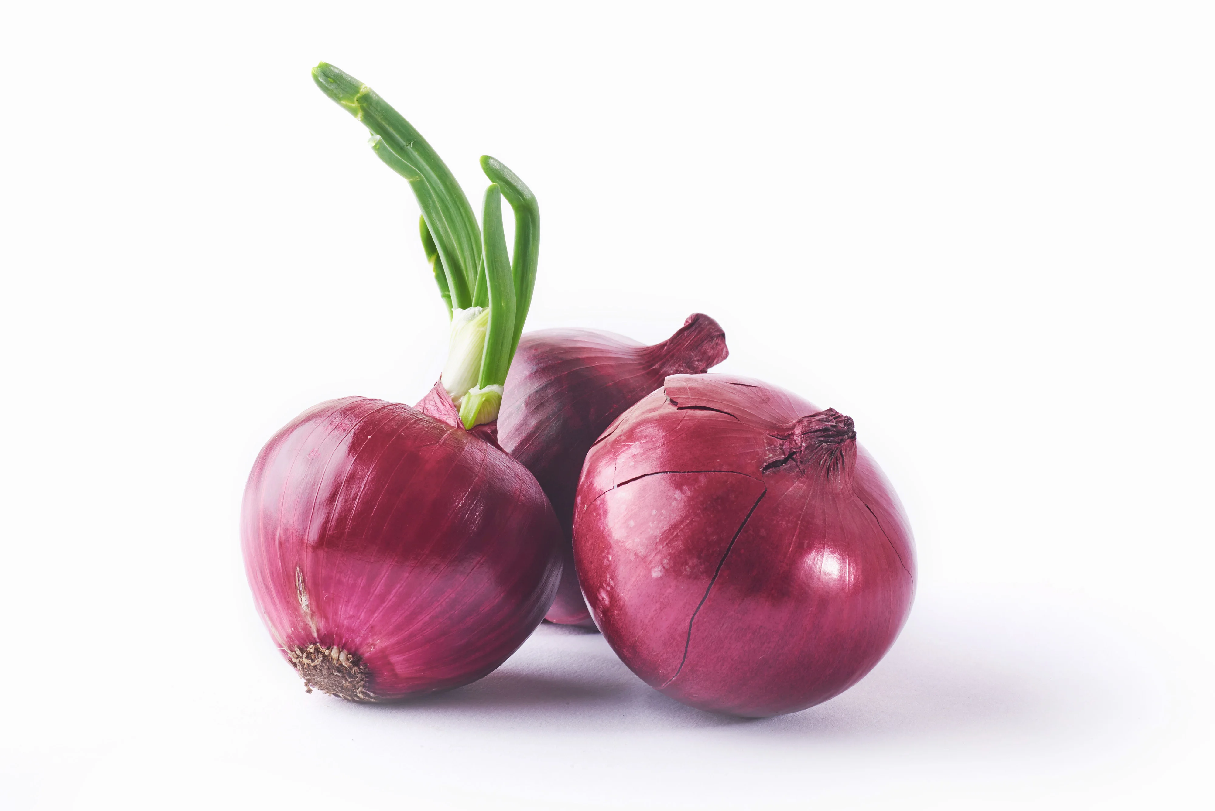 High Selling Organically Grown Red Onion Exporters at Best Wholesale Rates Exported From India By Best Suppliers
