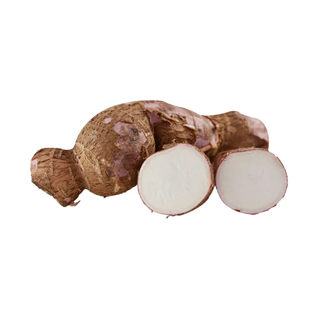 Hot Selling 2023 Wholesale Frozen Cassava Root Tapioca Chunks Made in Vietnam Competitive Price