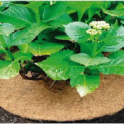 Best Quality for Growing Plants Eco - Friendly COCO MULCH MAT in Sheets or Rolls Made From 100% Natural Coconut Fibers
