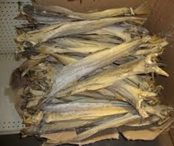 Dry Stock Fish / Dry Stock Fish Head / Dried Salted Cod