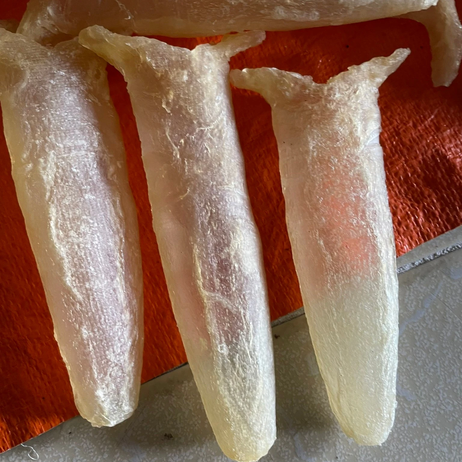 Wholesale dried swim bladder 100% natural dry whole fish maw price from Viet Nam