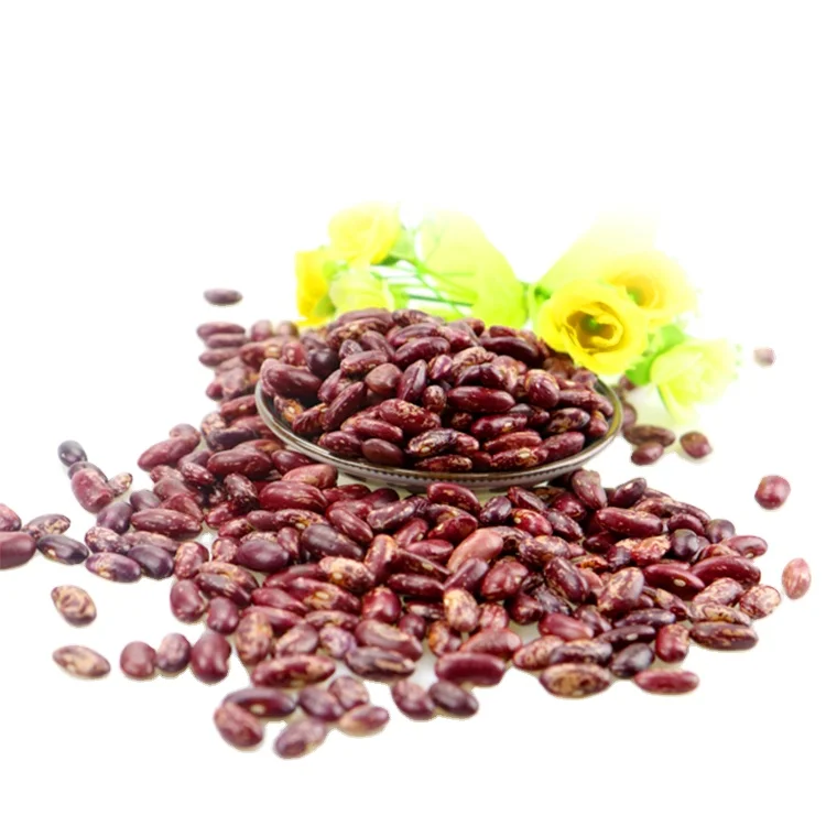 canned dark red kidney beans in brine with high quality