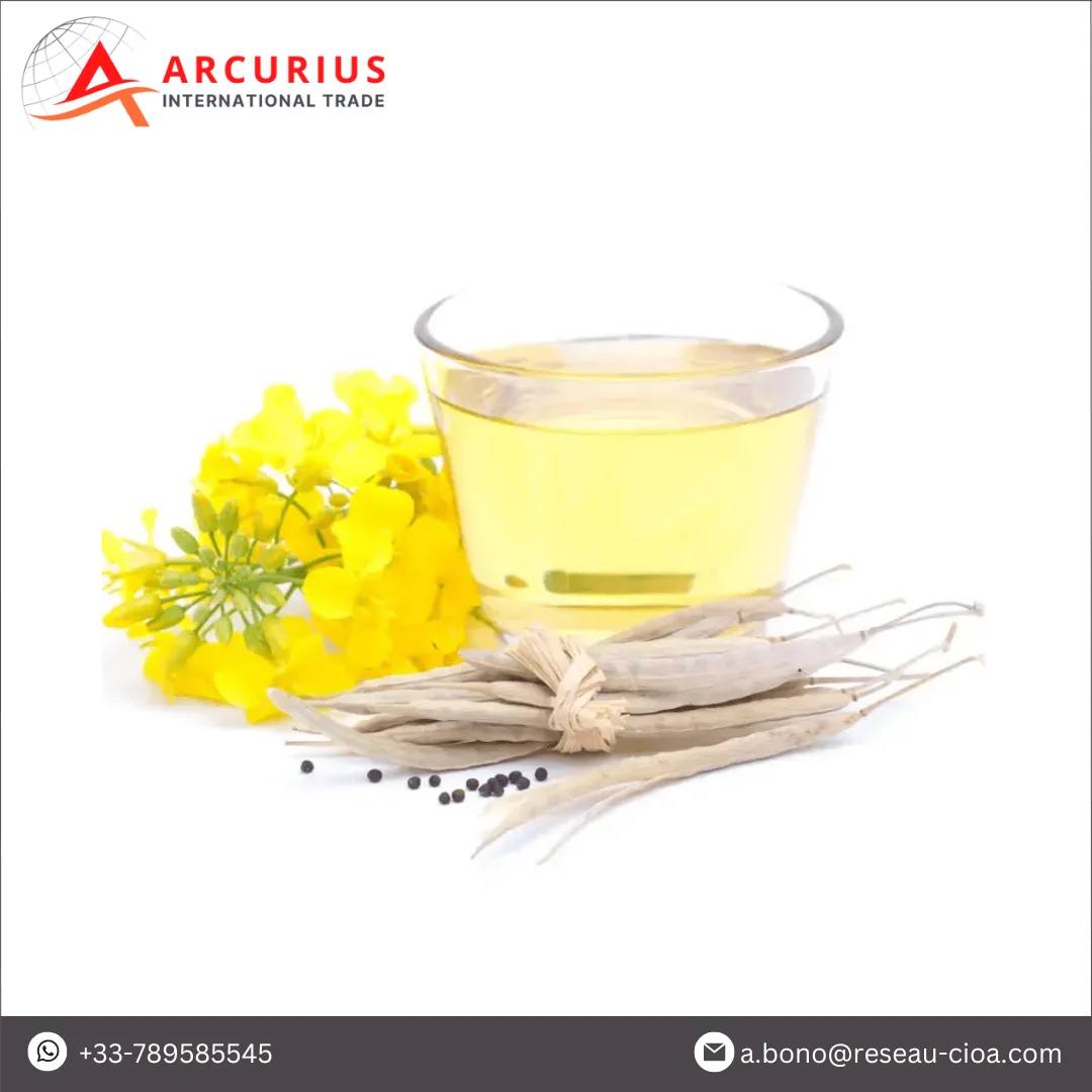 Made in France Good Quality of 100% Pure Refined Edible Rapeseed Oil/Canola Oil from Wholesale Supplier