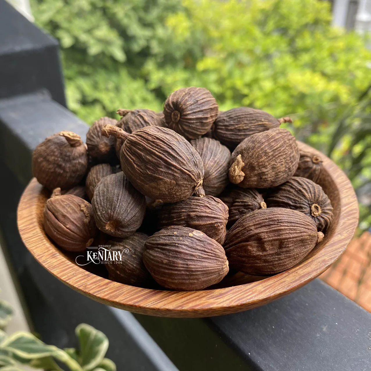 Wholesale Strong Flavor Black Cardamon Seeds Size 9mm Hight Quality Spices Best Price Factory in Vietnam 100% Pure non GMO