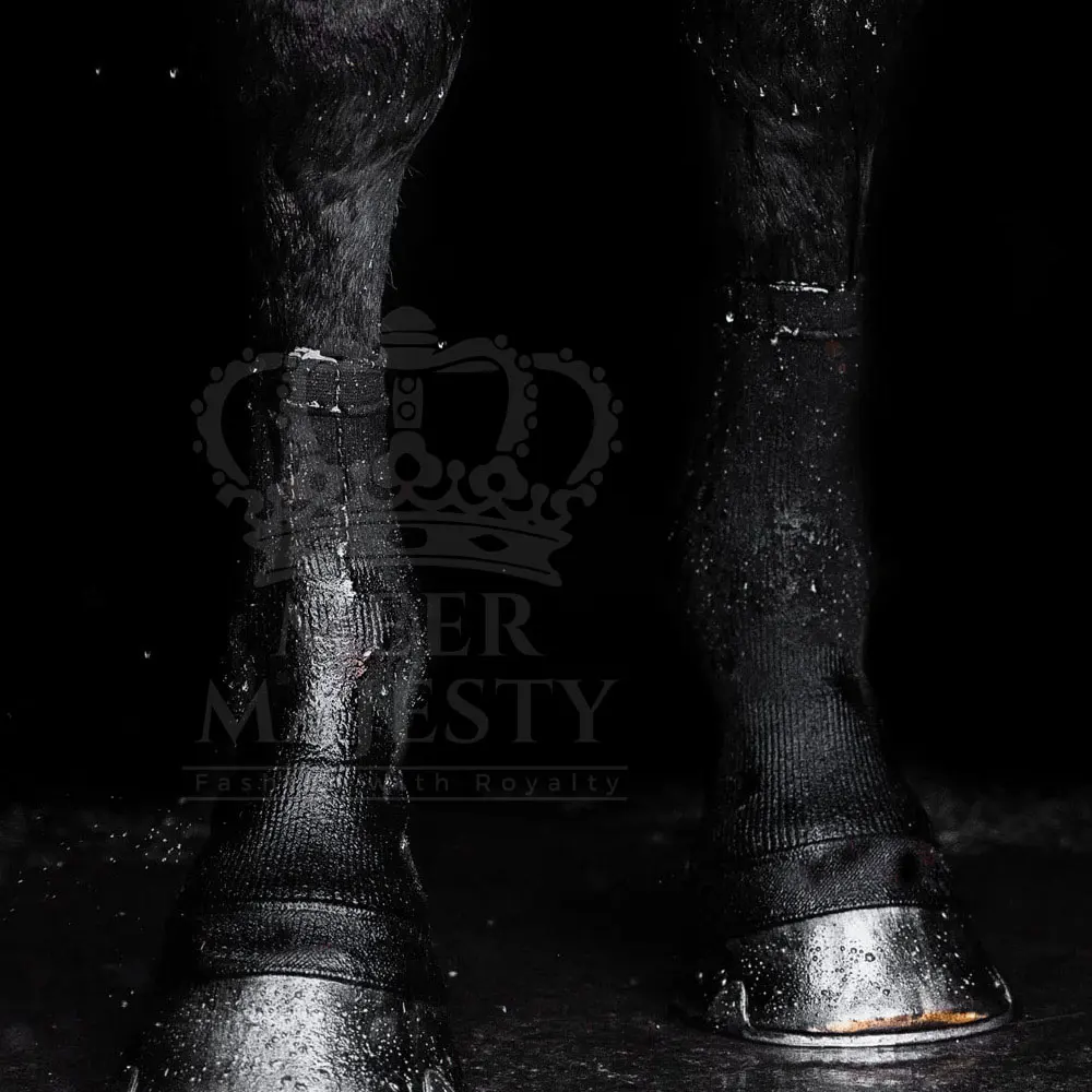 Custom Made Comfortable Soft Horse Riding Socks New Design 2024 Best Selling Horse Socks