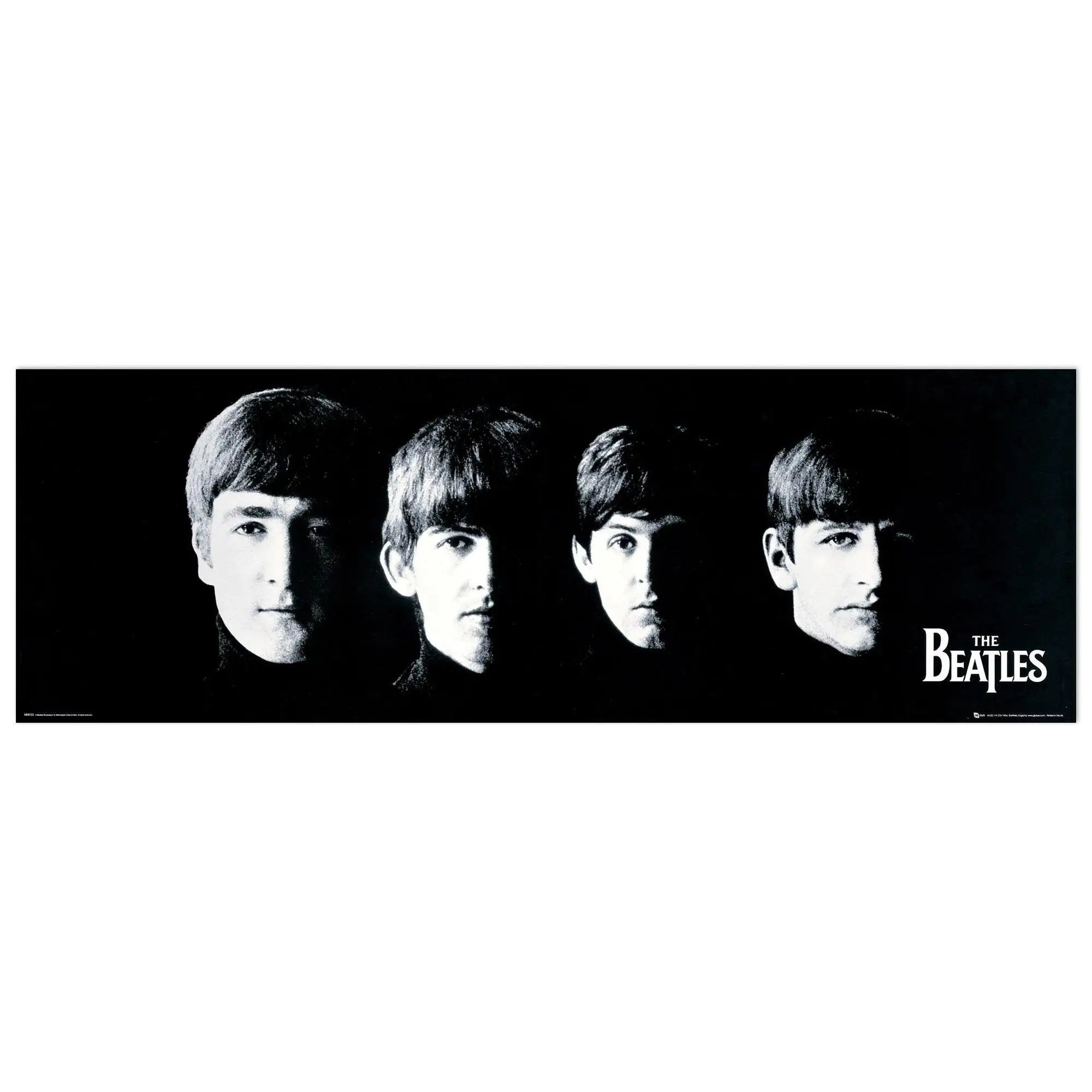 Music Beatles decorative panel, ready to hang.