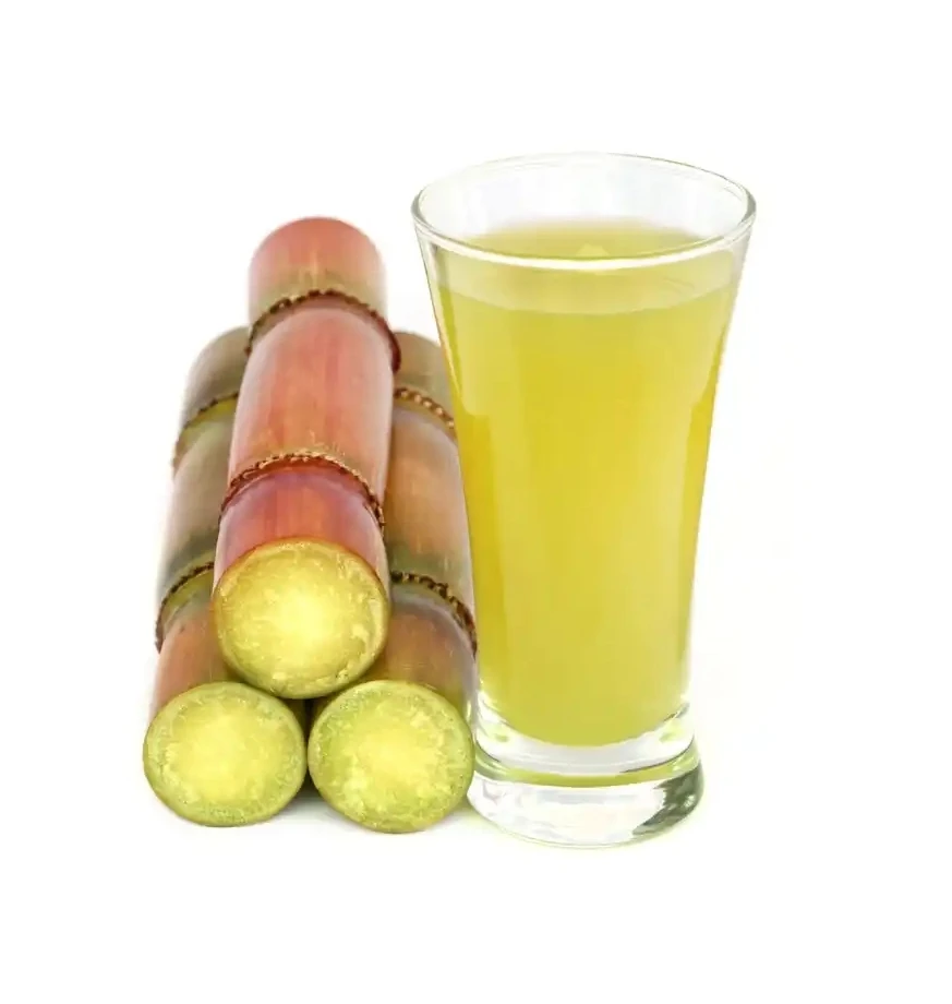 Organic Frozen Sugarcane Juice Sugarcane stick supplier from Vietnam Guaranteed Quality Wholesale