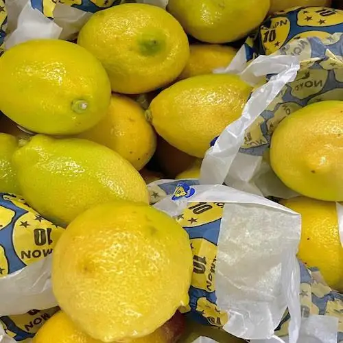 Fresh Organic Lemon Crop EU Harvest Seedless New Crop Healthy Green Fruit Lemon Juice Cocktails 10kg Cartons Natural Healthy