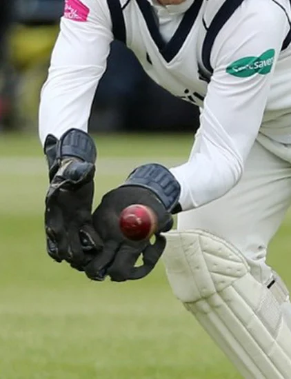 Customised High Quality Player Edition PU Leather Glove Safety Heat Resistant Practice Match Players Pads Cricket Keeping Gloves