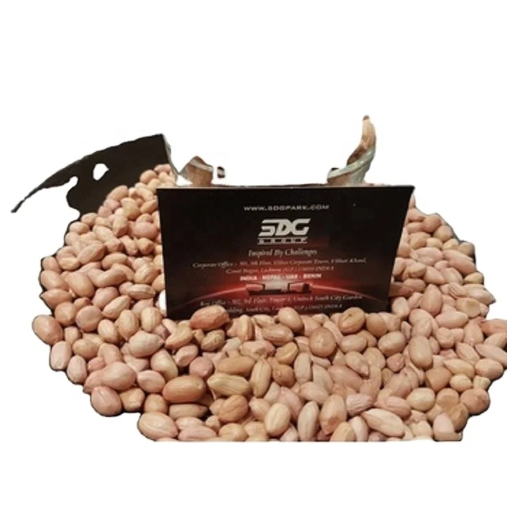 Premium Quality Java Peanut 80 90 Count Bulk Exporter Supreme  High Protein Raw Peanut Kernels Peanut  at Low Price from India