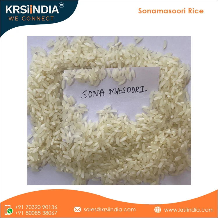 Superior Quality Best Selling Sona Masoori Non-Basmati Rice Medium Grain Raw Rice Buy from Indian Wholesale Supplier