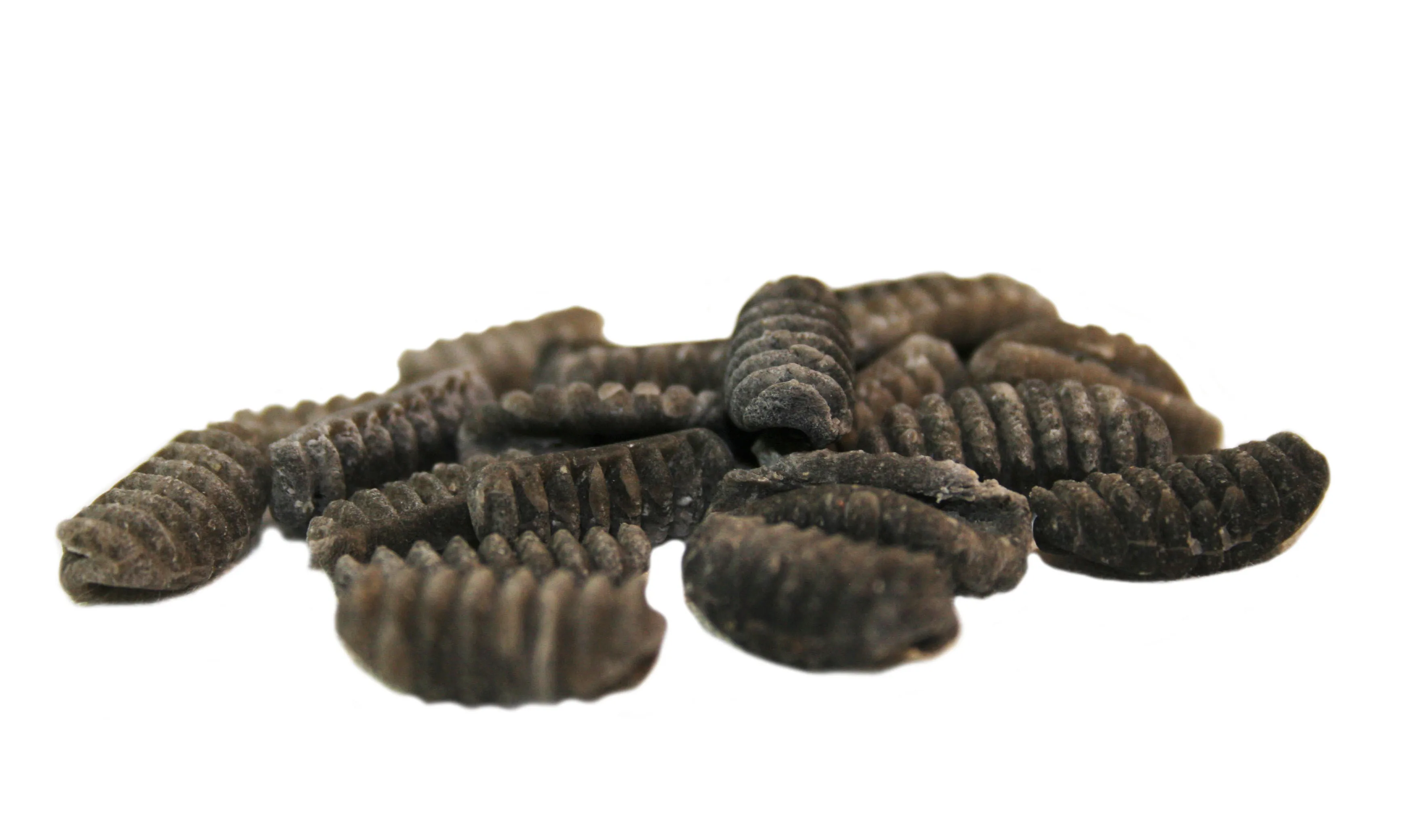 Best Selling Artisan Italian Pasta Malloreddus with Squid Ink 500gx12pcs Ideal with Fish or in Soup bronze drawn