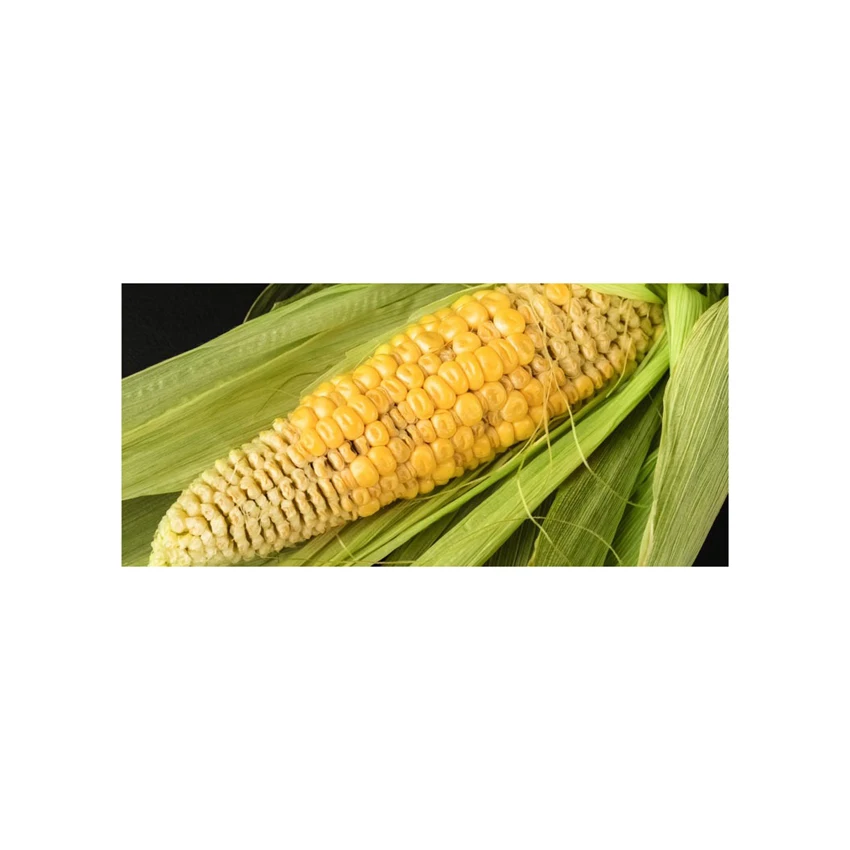 100% Natural Dried Yellow Corn for Ready to Eat Instant Food