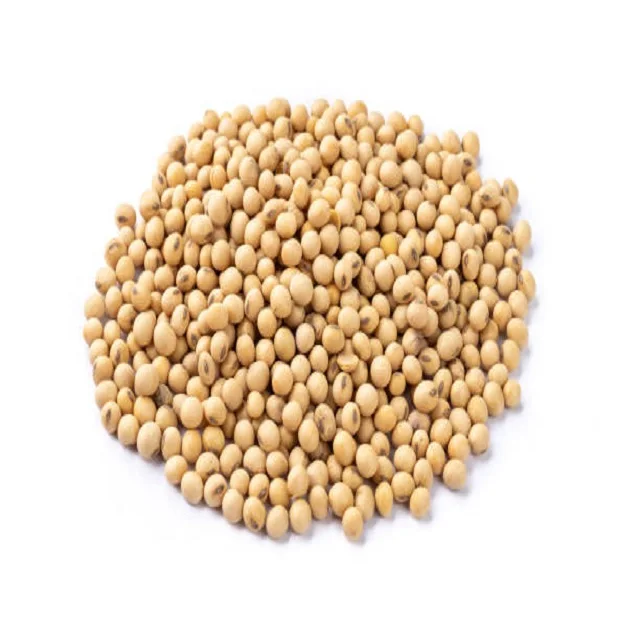 High Quality Non Gmo Soybeans / Soya Beans, Soy bean Seeds and Soya bean Seeds