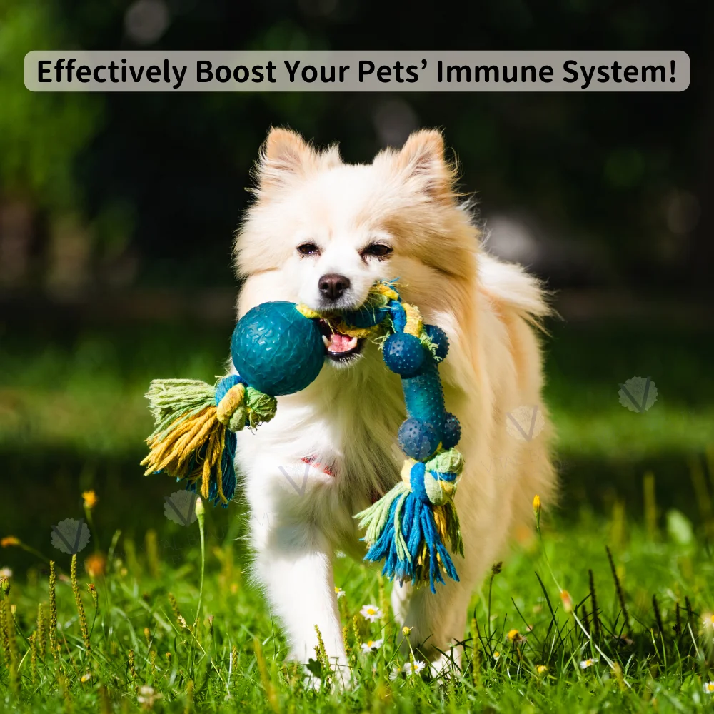100% Natural Pet Immunity Powder Sachets with Custom Logo Stronger Immune System Booster for Dogs and Cats
