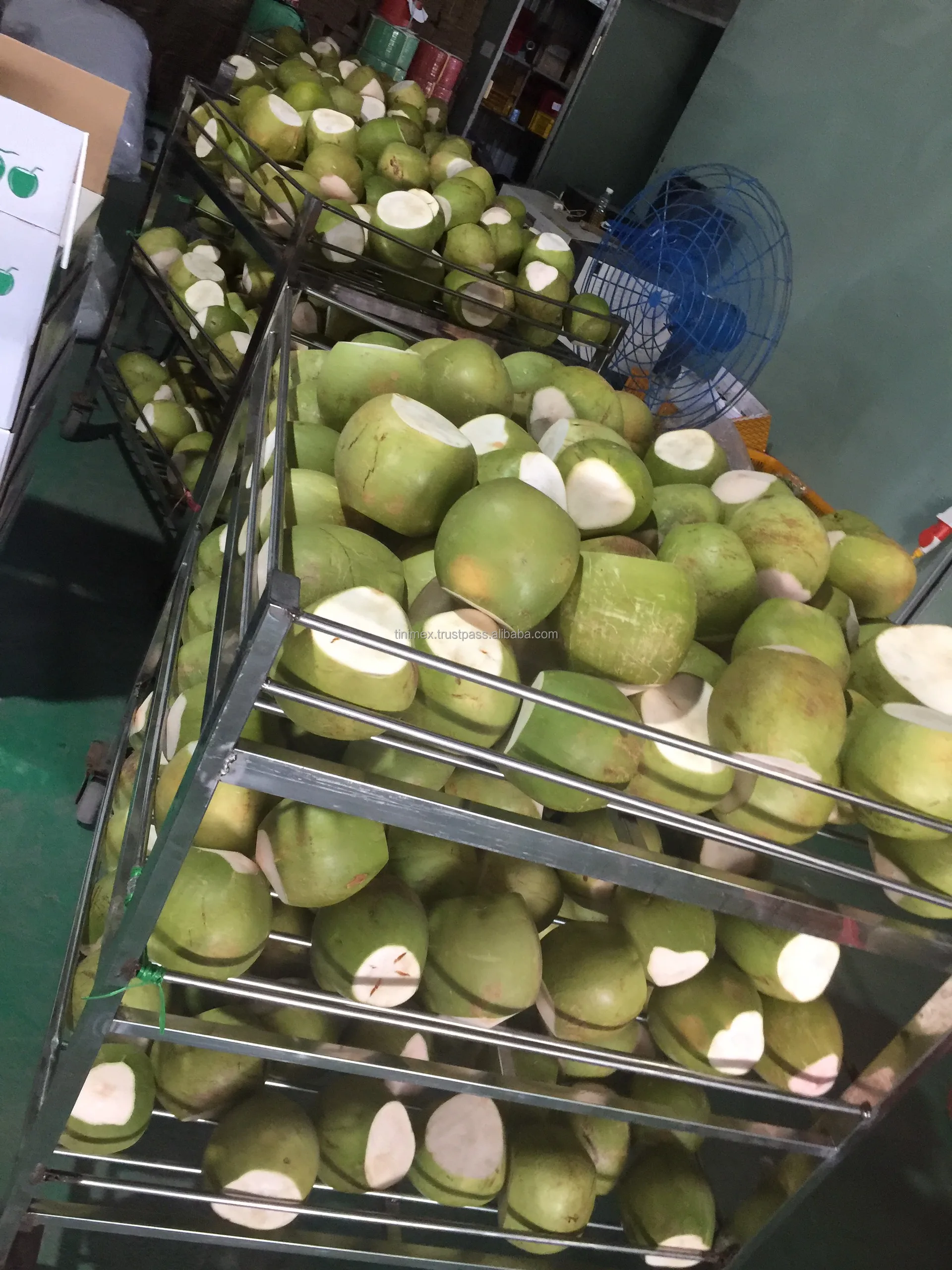 Premium Grade Green Husked Coconut 100% Organic from Farms in Ben Tre, Vietnam (WhatsApp: +84 366 808 6831)