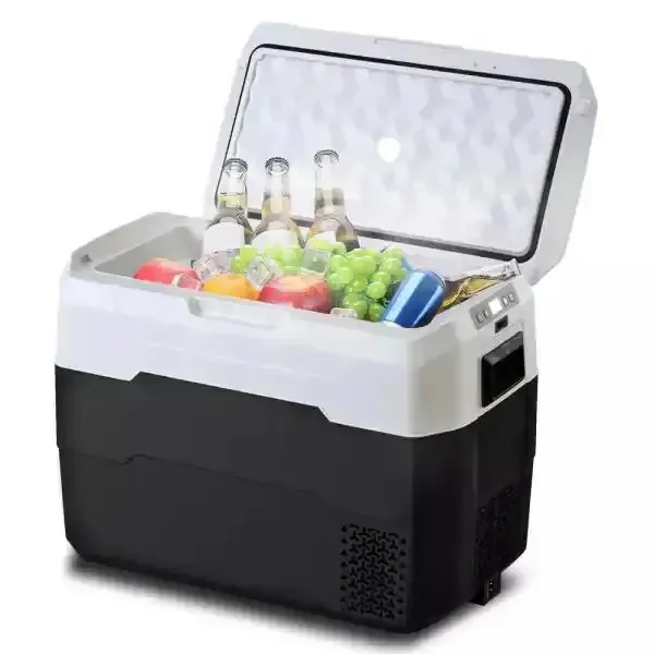NEW  Hot Sale Cooler Micro Small 24v Mini AC DC 12v Car Portable Fridge Freezer Refrigerator Car Fridges