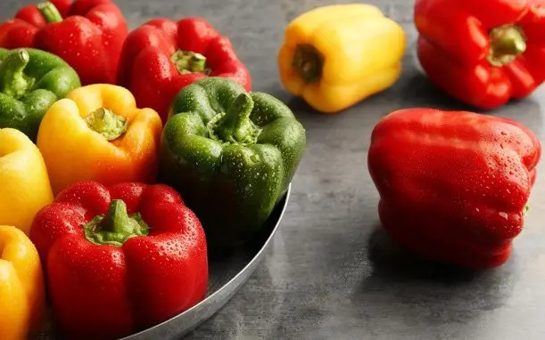 FRESH CAPSICUM Kim Yellow Green Red Sweet Style Organic Color Weight Pepper Origin Type Bell Size Product Place Model Maturity