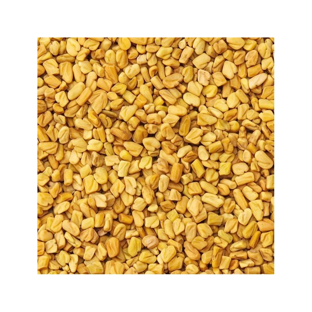 Great For Appetite Control Best Quality Fenugreek Seeds Buy Other Whole Spices At Factory Price