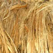 Low Price Good Quality Wholesale Export Oriented Excellent Quality Low Price 100% Jute Nature Color Jute Fiber From Bangladesh