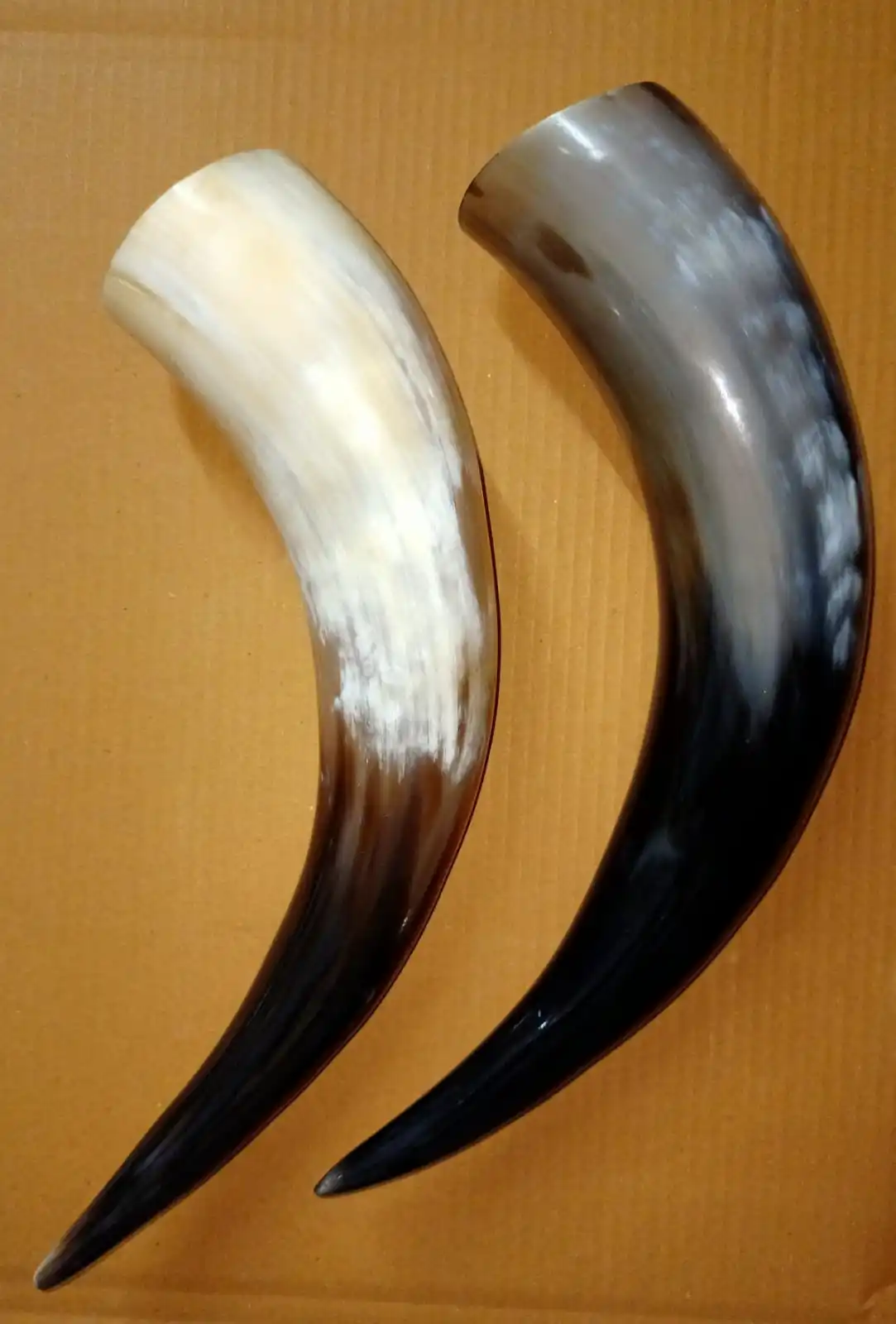 Wikinger Trinkhorn Methorn & Hornbecher Polished Natural Crafts Glass Drinking Horn for Home Decoration Raw Technique