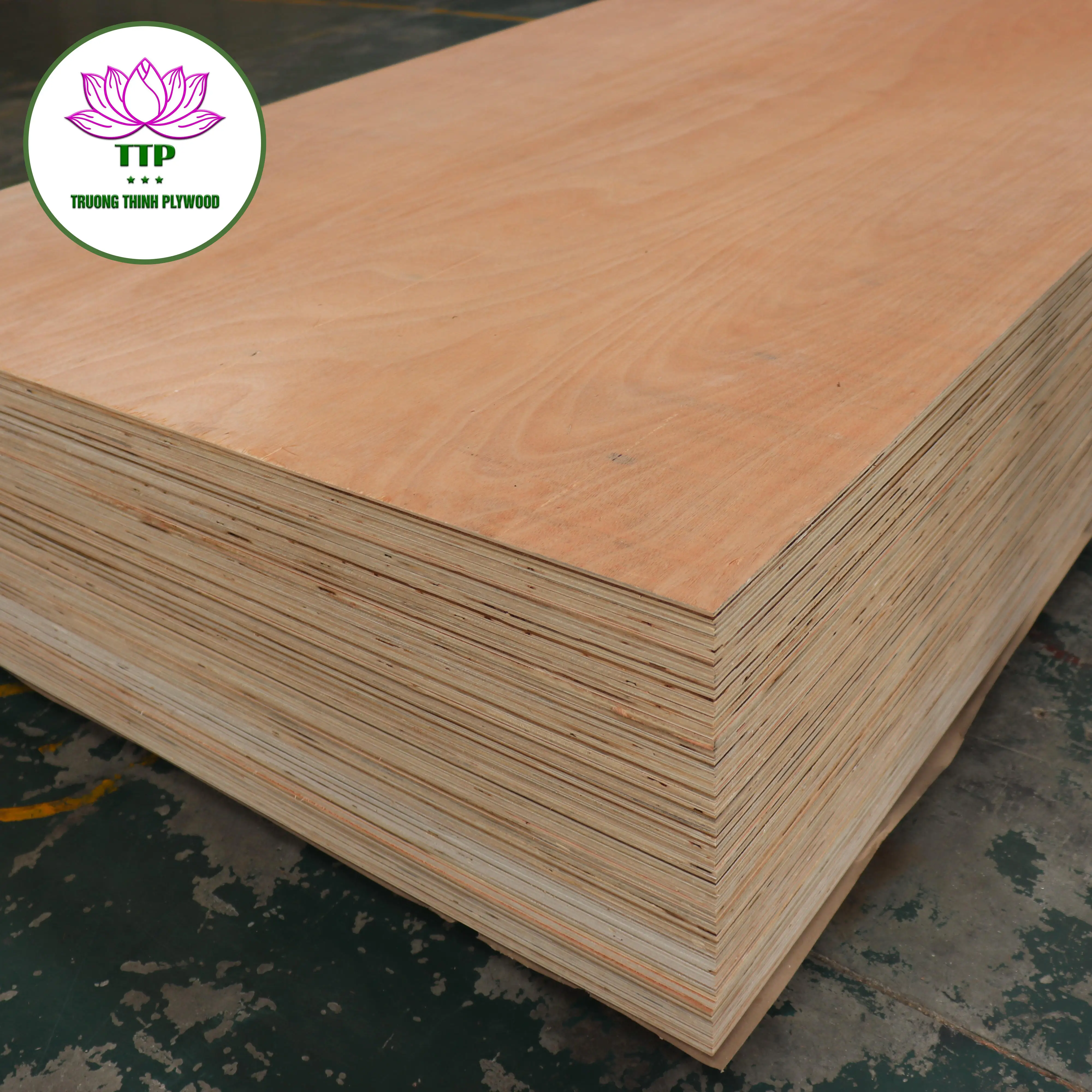 Acacia Eucalytups Core Okume Bintangor Face Furniture Commercial Plywood From Vietnam